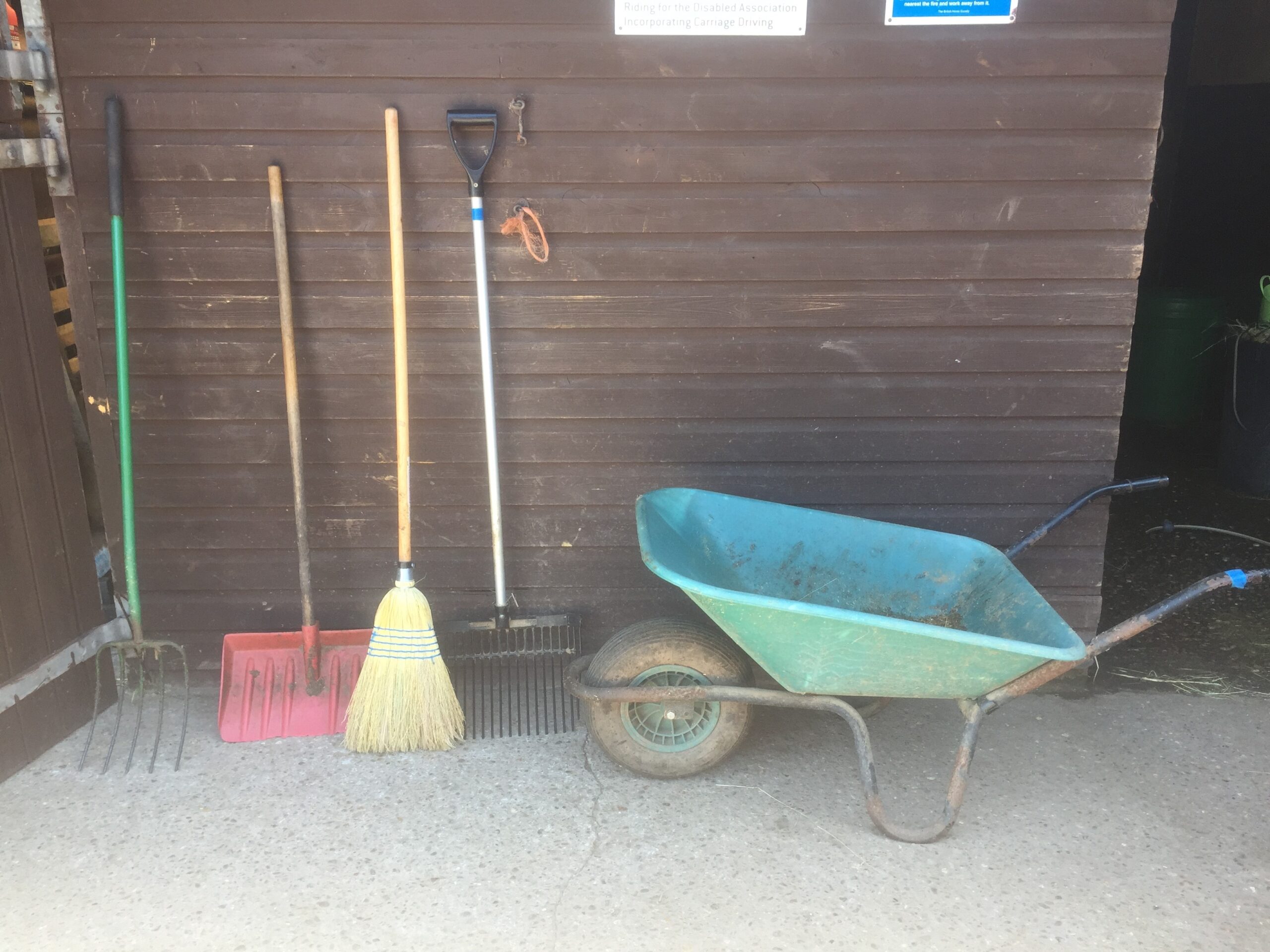 Horse Care and Knowledge National Championships Quiz RDA Learning